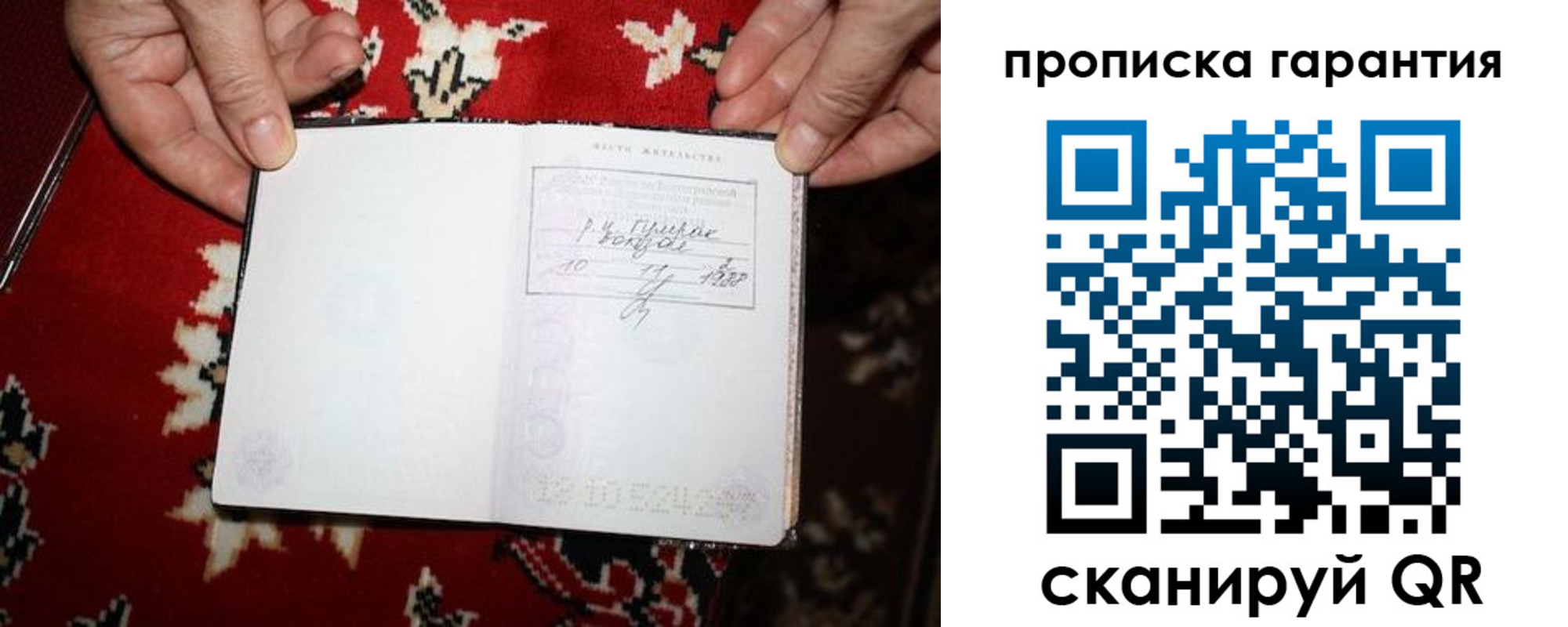 прописка гарантия в Курской области